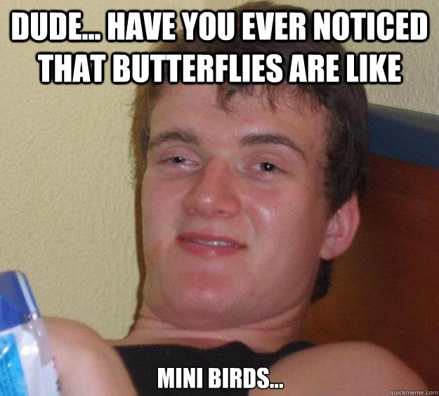 Dude... have you ever noticed that Butterflies are like Mini birds...  10 Guy
