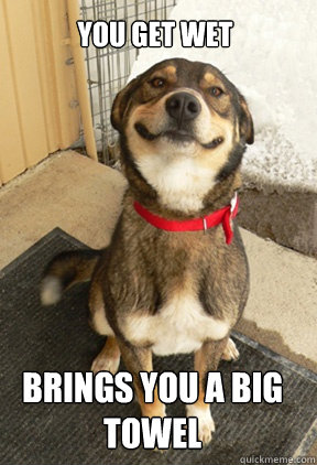 you get wet brings you a big towel   Good Dog Greg