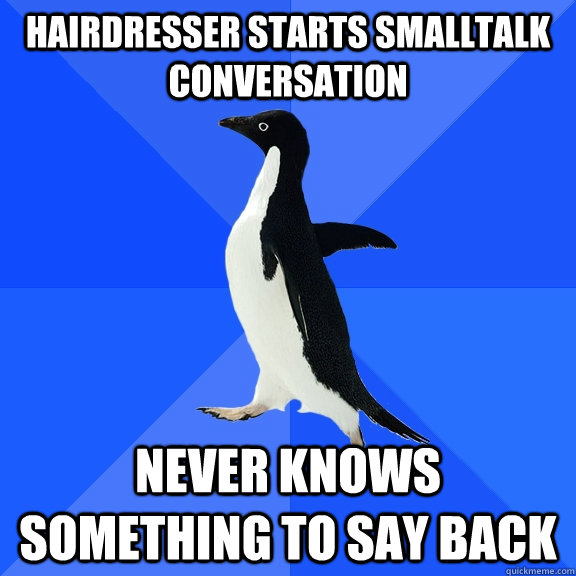 Hairdresser starts smalltalk conversation never knows something to say back  Socially Awkward Penguin