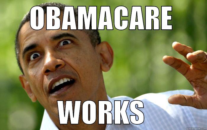 OBAMACARE WORKS Misc
