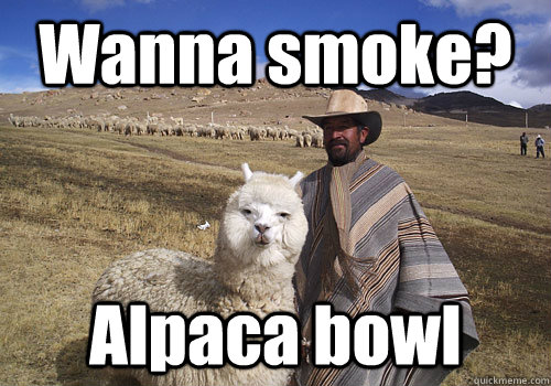 Wanna smoke? Alpaca bowl  