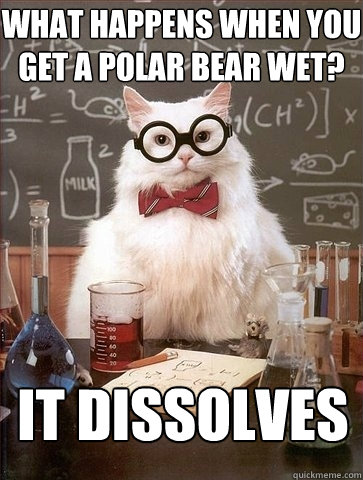 What happens when you get a polar bear wet? it dissolves  Chemistry Cat