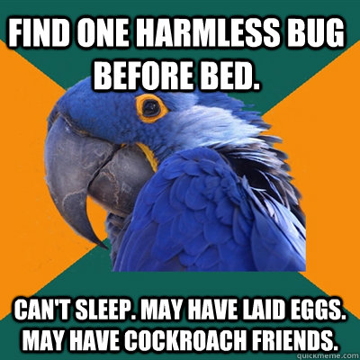 Find one harmless bug before bed. Can't sleep. May have laid eggs. May have cockroach friends.   Paranoid Parrot