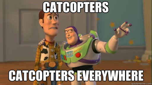 catcopters catcopters everywhere  Everywhere