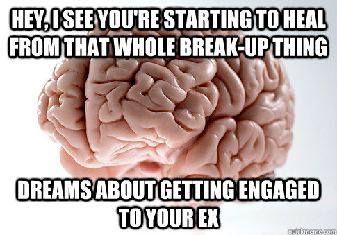 Hey, I see you're starting to heal from that whole break-up thing dreams about getting engaged to your ex  Scumbag Brain