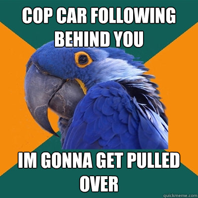 Cop car FOLLOWING BEHIND YOU IM GONNA GET PULLED OVER  Paranoid Parrot