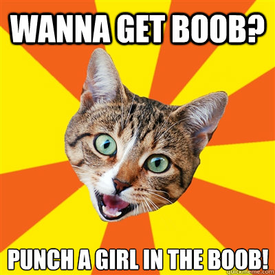 Wanna get boob? Punch a girl in the boob! - Wanna get boob? Punch a girl in the boob!  Bad Advice Cat