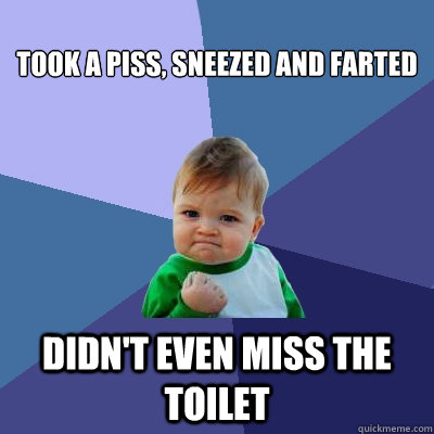 
Took a piss, sneezed and farted  didn't even miss the toilet   Success Kid