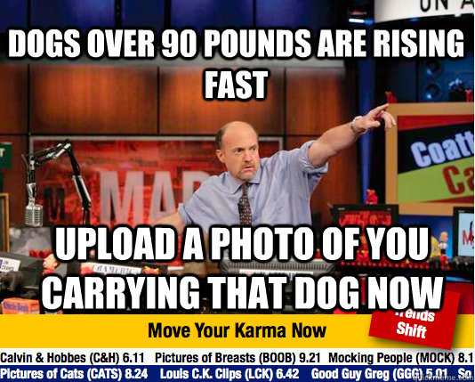 Dogs over 90 pounds are rising fast  Upload a photo of you carrying that dog now - Dogs over 90 pounds are rising fast  Upload a photo of you carrying that dog now  Mad Karma with Jim Cramer