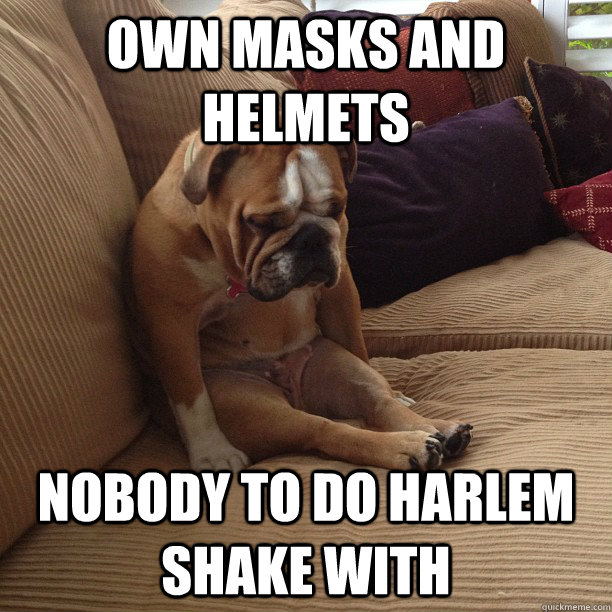 own masks and helmets nobody to do harlem shake with  depressed dog