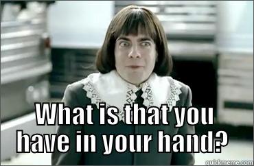 WHAT IS THAT YOU HAVE IN YOUR HAND?  Misc
