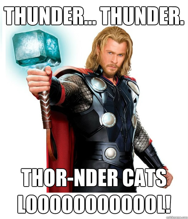 thunder... Thunder. THOR-NDER CATS LOOOOOOOOOOOL!  Advice Thor