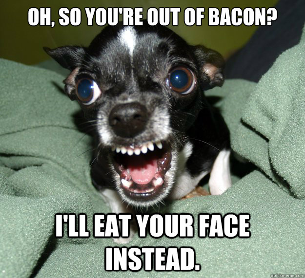 Oh, so you're out of bacon? I'll eat your face instead.  Chihuahua Logic