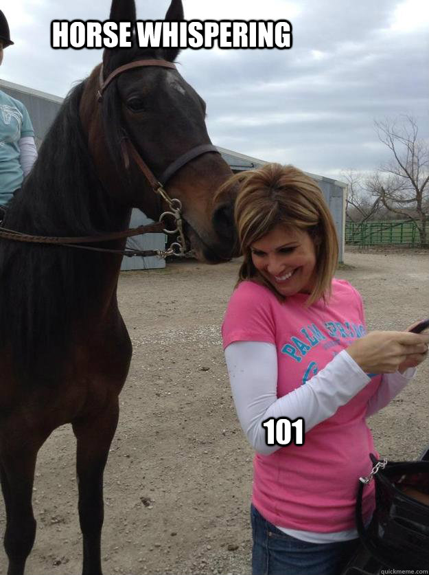 Horse whispering 101 Horse whispering quickmeme