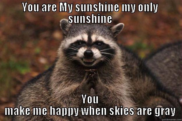 YOU ARE MY SUNSHINE MY ONLY SUNSHINE YOU MAKE ME HAPPY WHEN SKIES ARE GRAY Evil Plotting Raccoon
