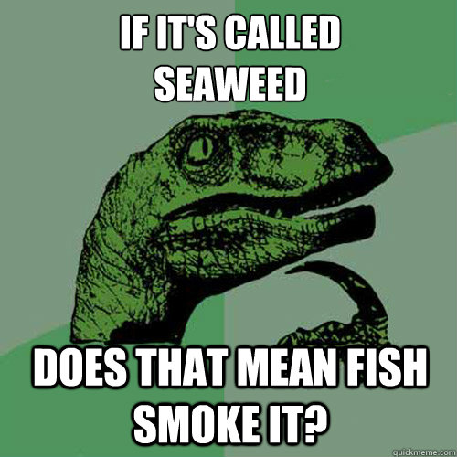 If it's called
seaweed Does that mean fish smoke it? - If it's called
seaweed Does that mean fish smoke it?  Philosoraptor