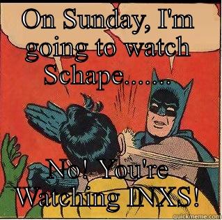 ON SUNDAY, I'M GOING TO WATCH SCHAPE....... NO! YOU'RE WATCHING INXS! Slappin Batman