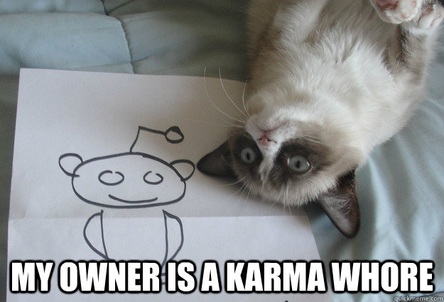  my owner is a karma whore -  my owner is a karma whore  Sudden Clarity Grumpy Cat