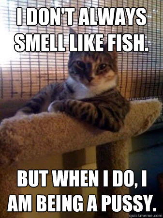 I don't always smell like fish. but when I do, I am being a pussy.  The Most Interesting Cat in the World