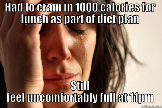 HAD TO CRAM IN 1000 CALORIES FOR LUNCH AS PART OF DIET PLAN STILL FEEL UNCOMFORTABLY FULL AT 11PM First World Problems