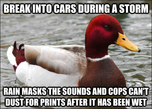 Break into cars during a storm Rain masks the sounds and cops can't dust for prints after it has been wet  Malicious Advice Mallard