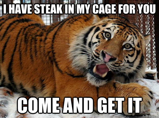 Fascinated Tiger memes | quickmeme