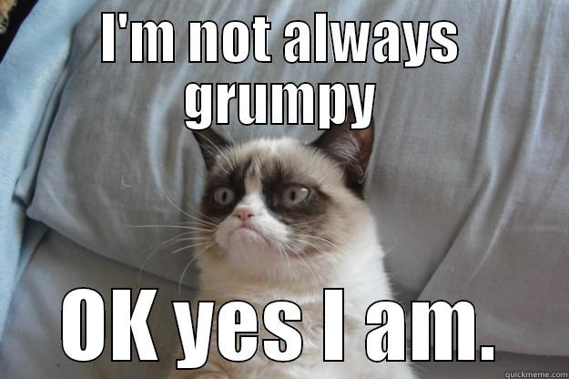I'M NOT ALWAYS GRUMPY OK YES I AM. Grumpy Cat