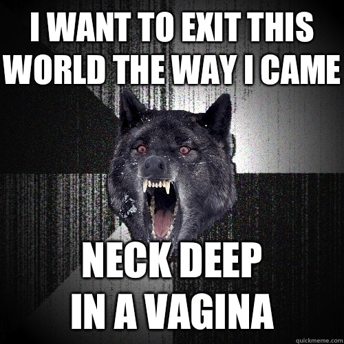 I want to exit this world the way i came Neck deep 
In a vagina  Insanity Wolf