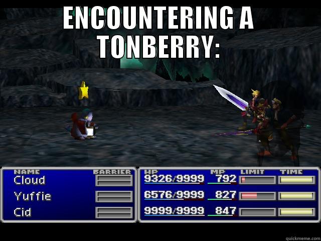 ff fun - ENCOUNTERING A TONBERRY:  Misc