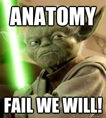 ANATOMY FAIL WE WILL! - ANATOMY FAIL WE WILL!  Yoda
