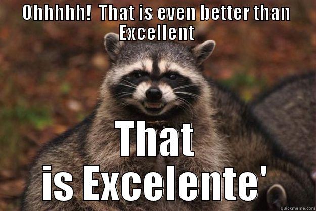 OHHHHH!  THAT IS EVEN BETTER THAN EXCELLENT THAT IS EXCELENTE' Evil Plotting Raccoon