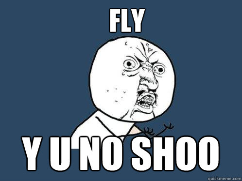 FLy y u no shoo  Y U No
