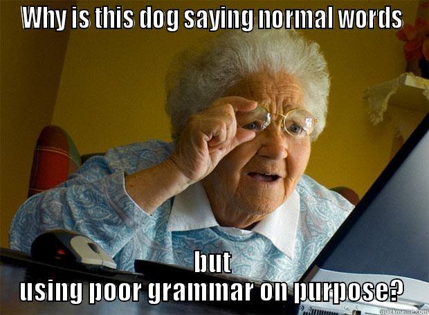 WHY IS THIS DOG SAYING NORMAL WORDS BUT USING POOR GRAMMAR ON PURPOSE? Grandma finds the Internet
