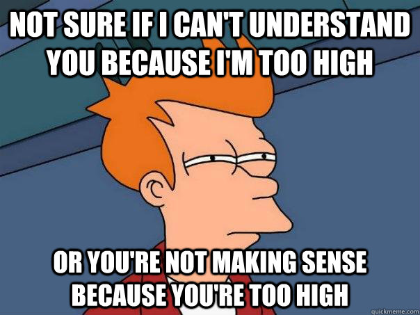 not sure if I can't understand you because I'm too high or you're not making sense because you're too high  Futurama Fry