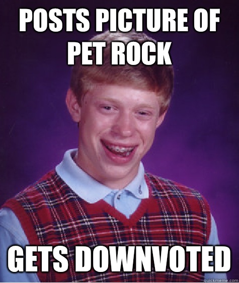 Posts picture of pet rock Gets downvoted  Bad Luck Brian