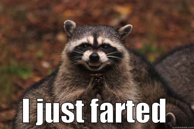 i just farted -  I JUST FARTED Evil Plotting Raccoon