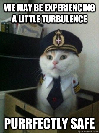 We may be experiencing a little turbulence Purrfectly safe  