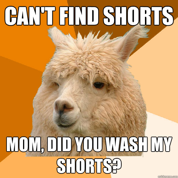 can't find shorts mom, did you wash my shorts? - can't find shorts mom, did you wash my shorts?  At Home Alpaca