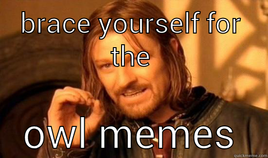 BRACE YOURSELF FOR THE OWL MEMES Boromir