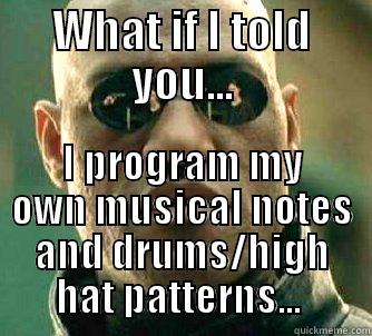  I PROGRAM MY OWN MUSICAL NOTES AND DRUMS/HIGH HAT PATTERNS...  Matrix Morpheus