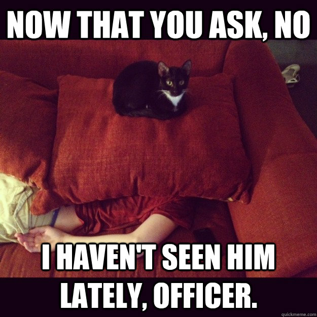 now that you ask, no I haven't seen him lately, officer.  
