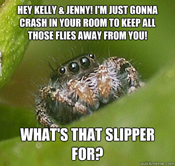 Hey Kelly & Jenny! I'm just gonna crash in your room to keep all those flies away from you!  What's that slipper for?  Misunderstood Spider