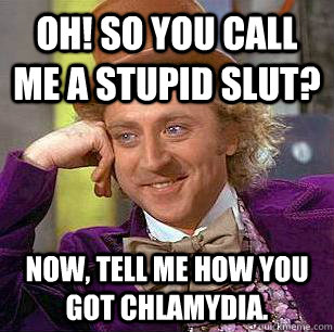 Oh! So you call me a stupid slut? Now, tell me how you got Chlamydia.  Condescending Wonka