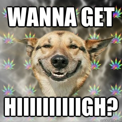 Wanna get Hiiiiiiiiiigh?  Stoner Dog
