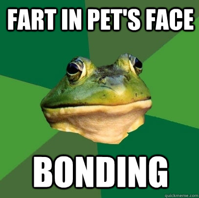 Fart in pet's face Bonding  Foul Bachelor Frog