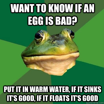 want to know if an egg is bad? put it in warm water, if it sinks it's good, if it floats it's good  Foul Bachelor Frog