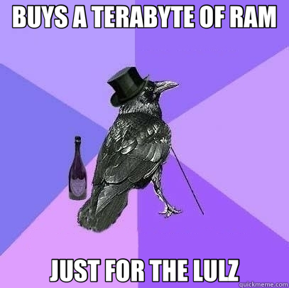 BUYS A TERABYTE OF RAM JUST FOR THE LULZ  Rich Raven