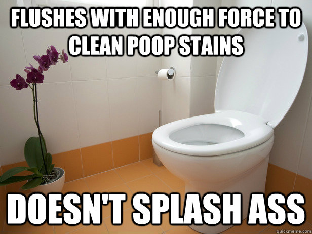 Flushes with enough force to clean poop stains Doesn't Splash ass - Flushes with enough force to clean poop stains Doesn't Splash ass  Good Guy Toilet