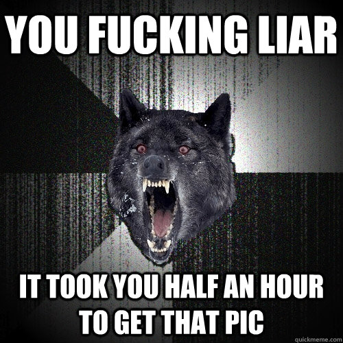 You fucking liar it took you half an hour to get that pic - You fucking liar it took you half an hour to get that pic  Insanity Wolf