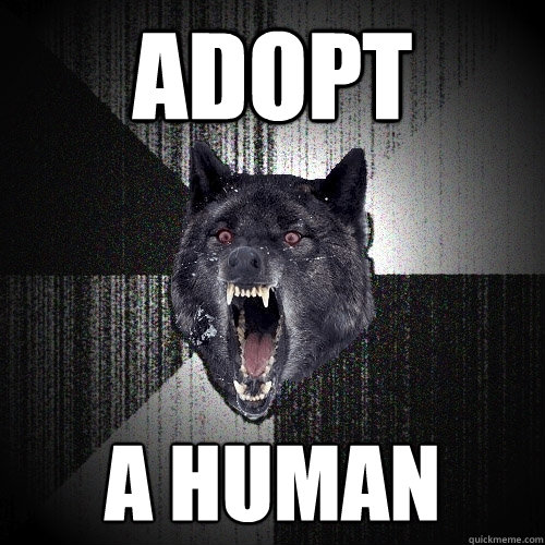 ADOPT A HUMAN  Insanity Wolf